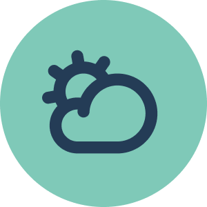 Icone chien Icon saisons