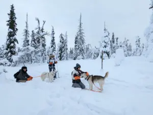 randonnee avec nos chiens