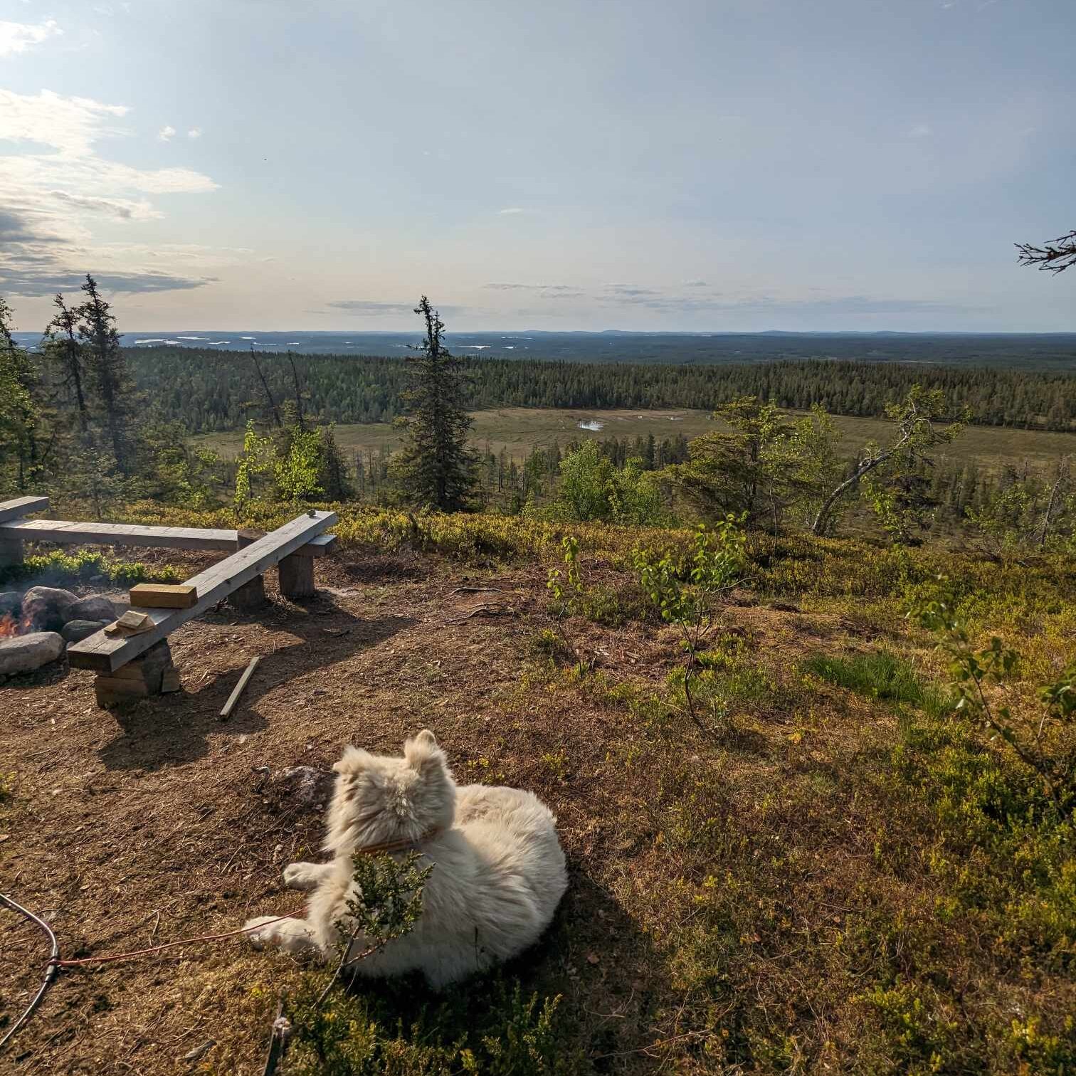 Campement pour manger et bivouac Riisitunturi