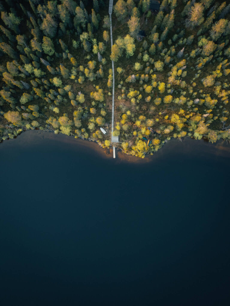 lac et foret vue ciel