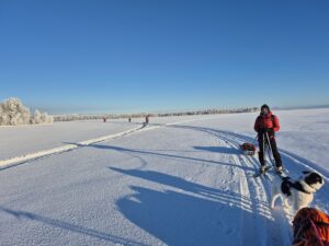 expedition ski pulka