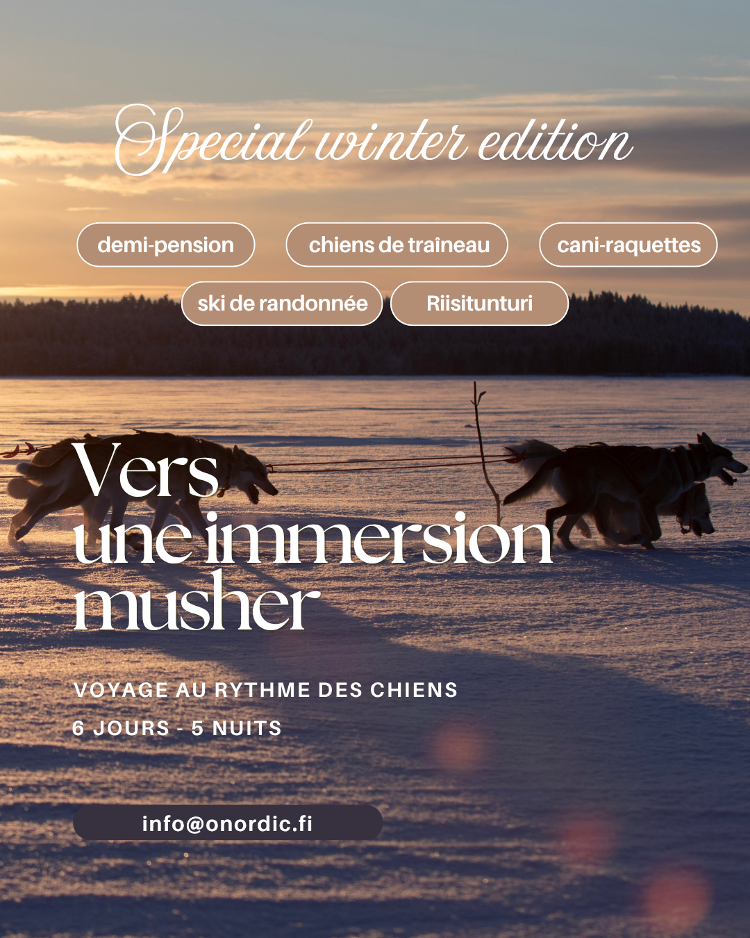 sejour mushing chien de traineau laponie