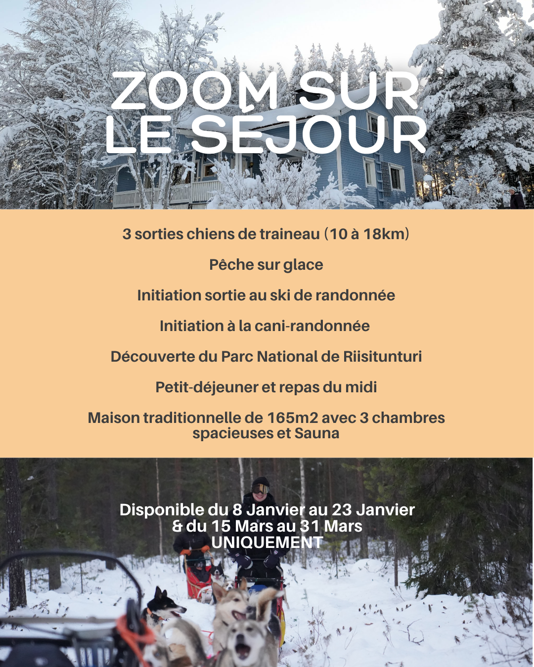 sejour mushing chien de traineau laponie